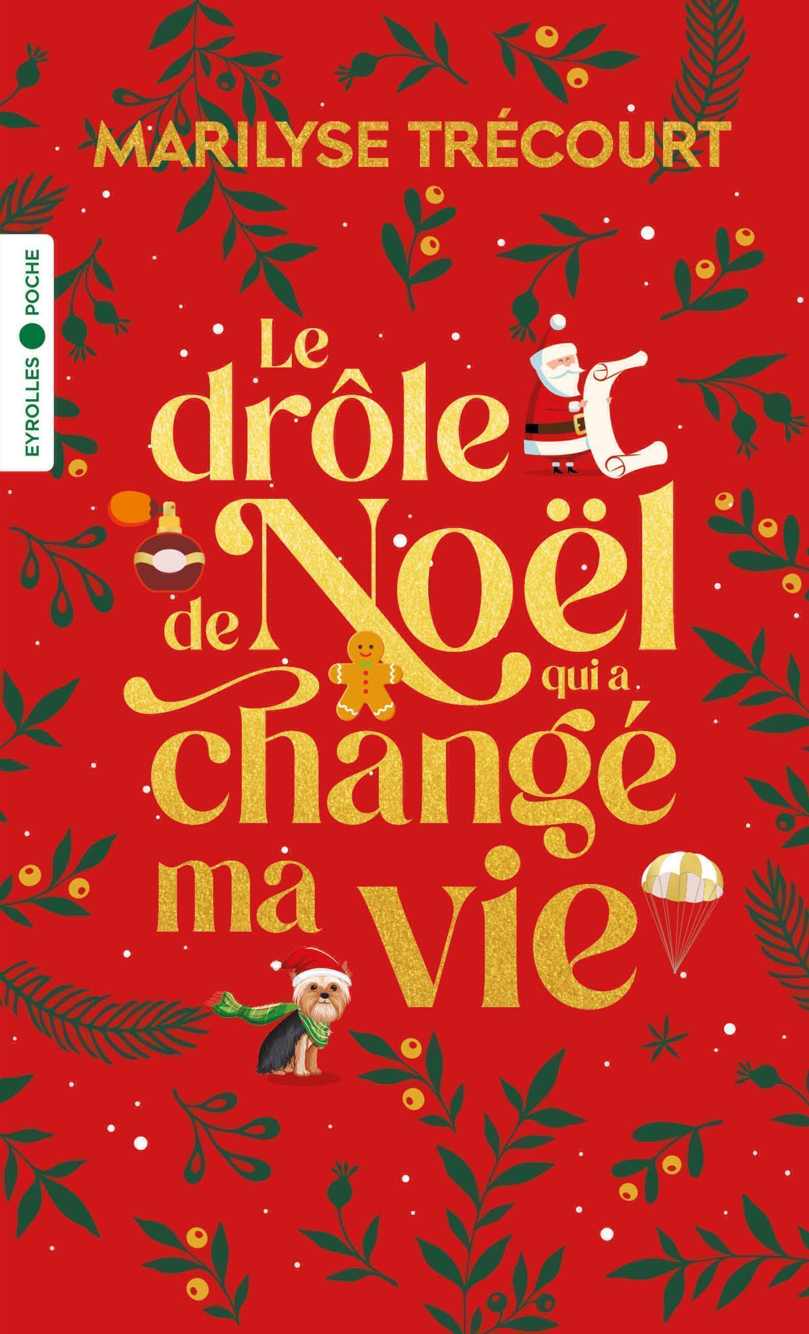 Visuel de <p><a href="https://www.editions-eyrolles.com/livre/le-drole-de-noel-qui-a-change-ma-vie-1"><strong>Le dr&ocirc;le de No&euml;l qui a chang&eacute; ma vie</strong></a> de <a href="https://www.editions-eyrolles.com/auteurs/marilyse-trecourt"><strong>Marilyse Tr&eacute;court</strong></a></p>